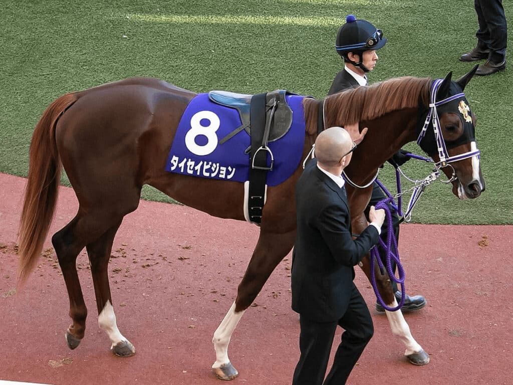 【京阪杯2021予想】唯一の4歳馬タイセイビジョン、得意の阪神で復活なるか?