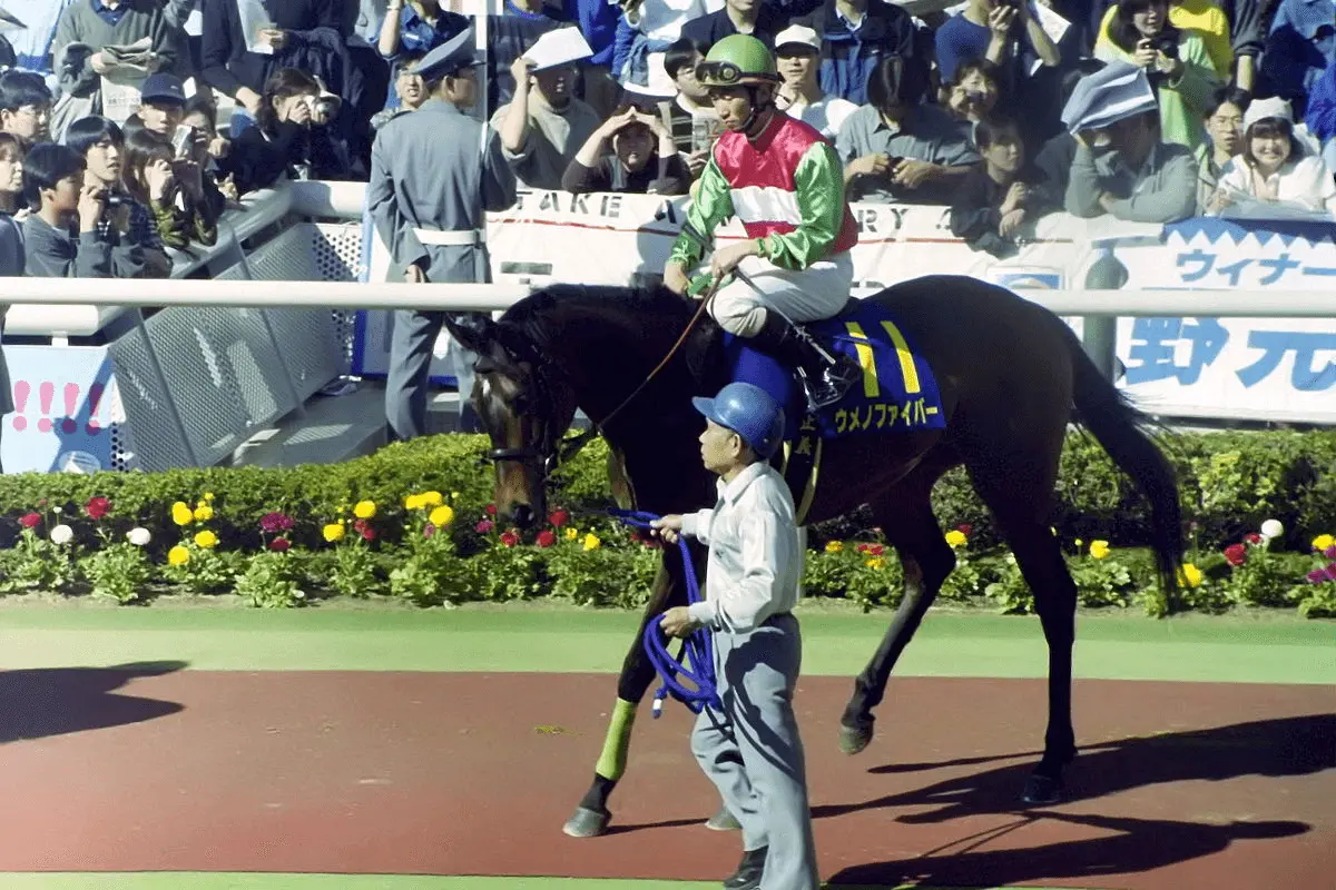 99年オークス馬、ウメノファイバーが死亡