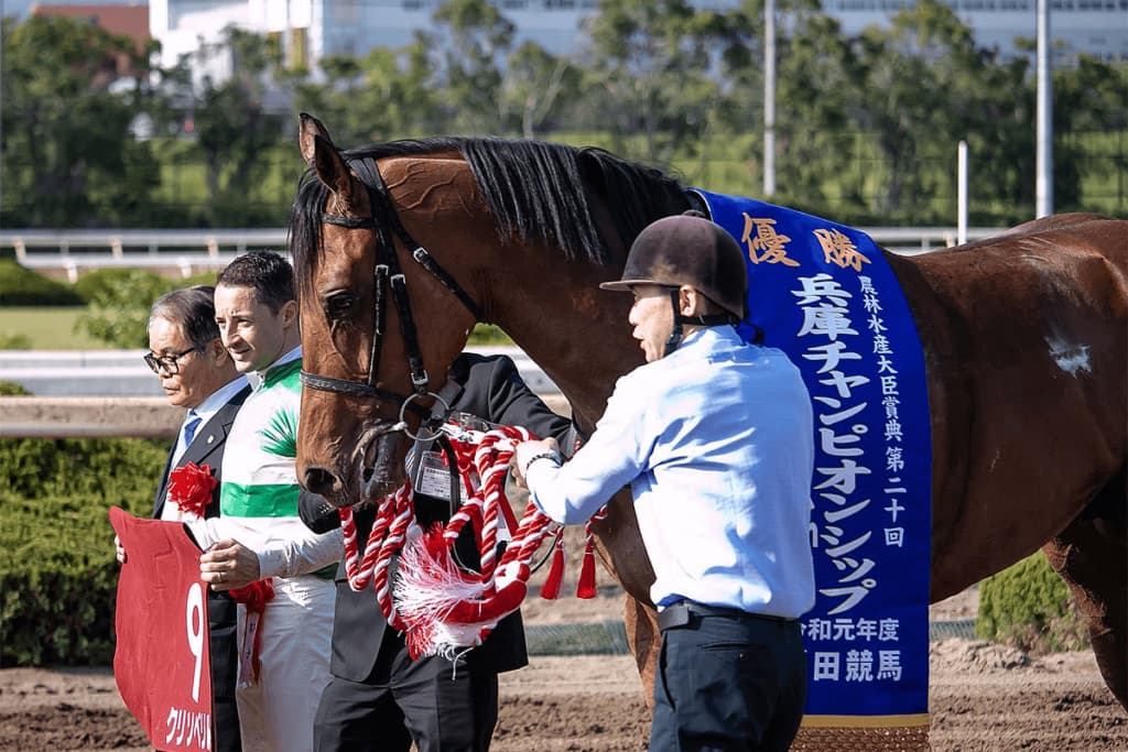 JRAクリソベリルが重度の喉なりで引退、種牡馬入り