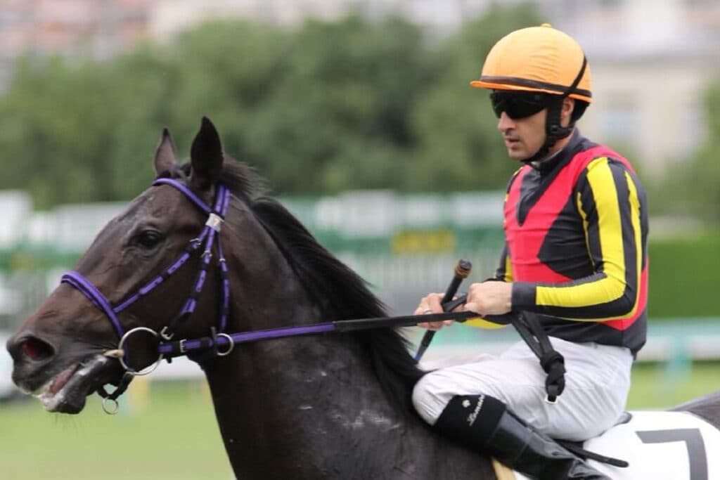 【天皇賞秋2021予想】グランアレグリア✕C.ルメール騎手、人馬ともに試金石の一戦