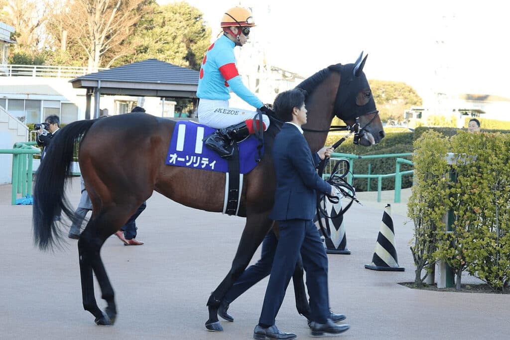 【JRA】エルムS・12着のオーソリティ、レントゲン検査は異常なし