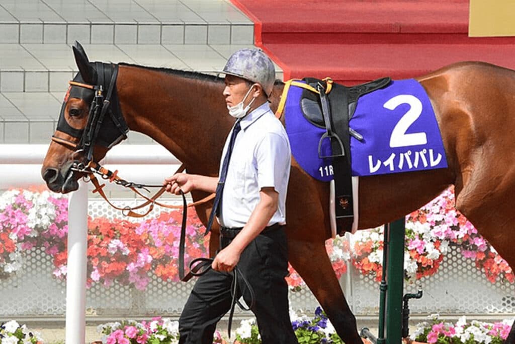 2021年大阪杯の覇者レイパパレが引退、右前脚に腫れ