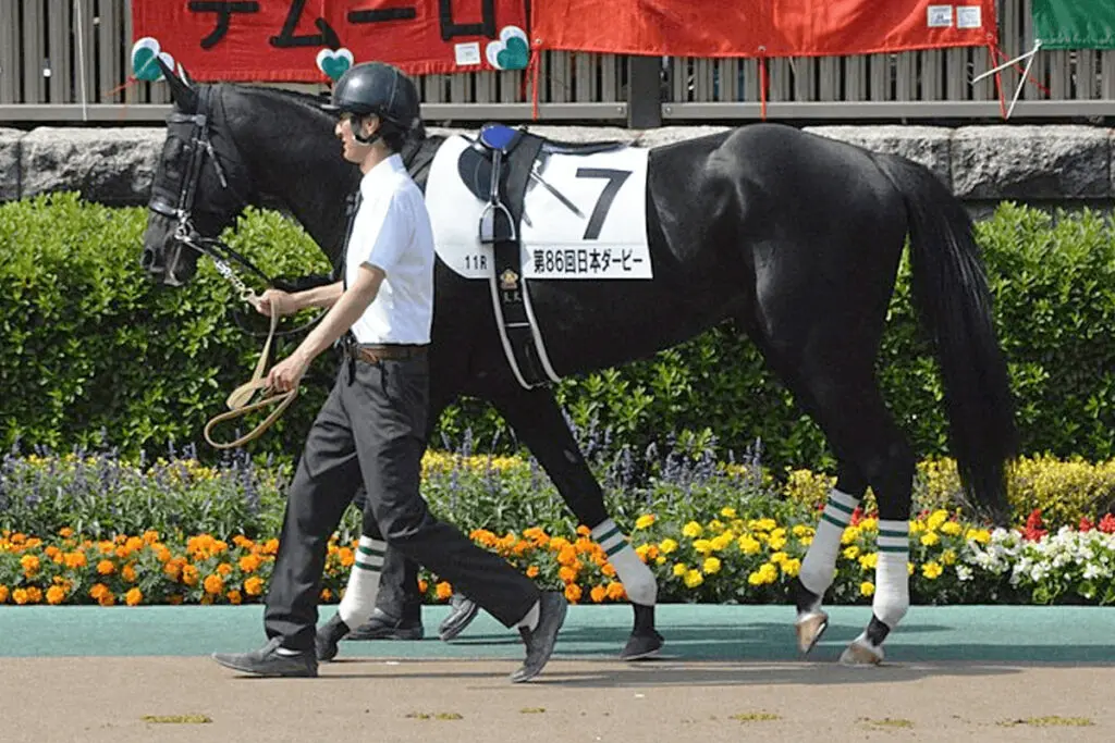 安田記念制したダノンキングリーが引退、種牡馬入り