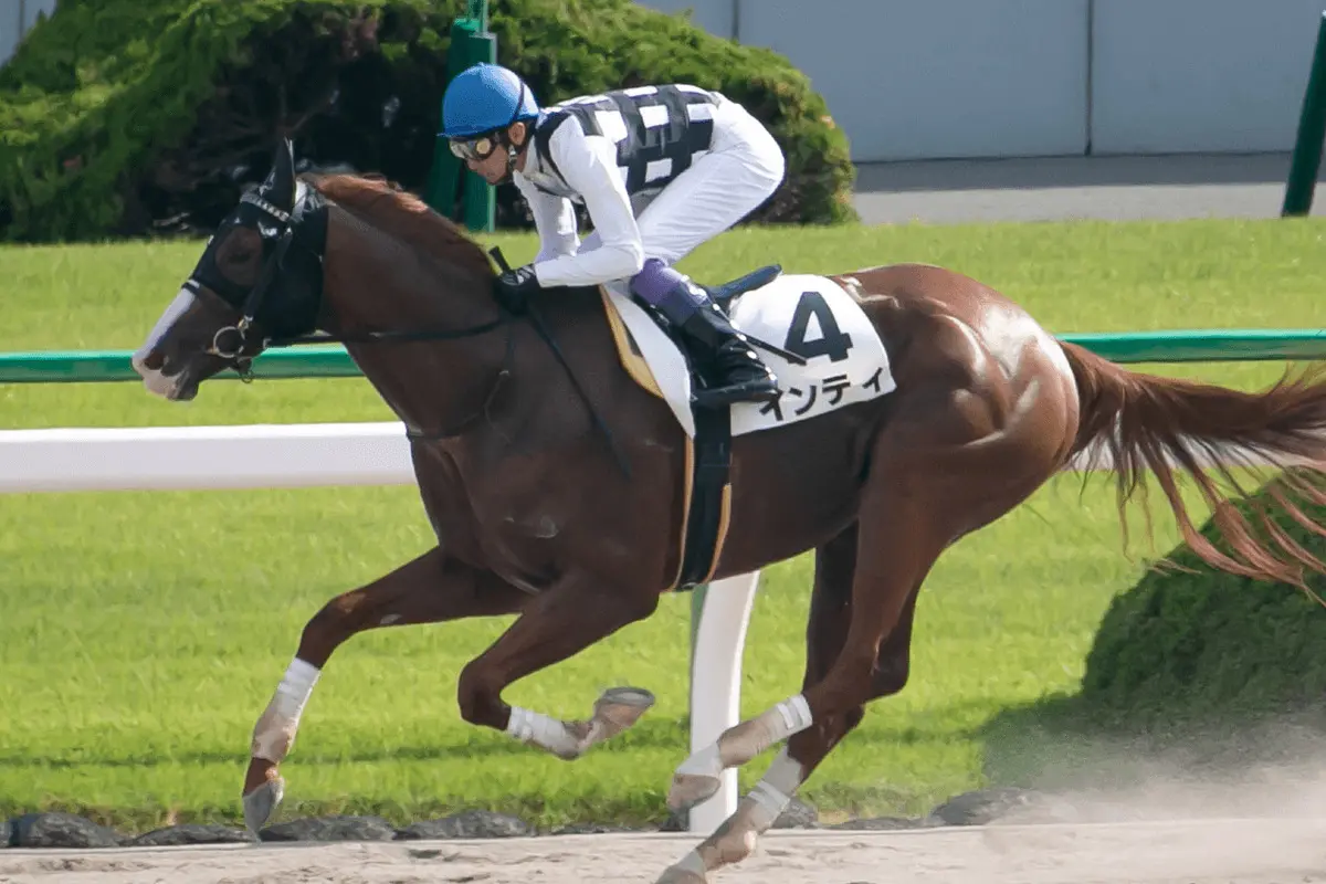 【JRA】ダート界をけん引してきた古豪・インティが引退、種牡馬へ