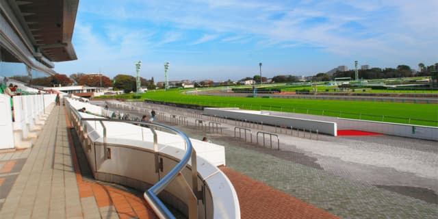 【弥生賞2022予想】皐月賞の最重要ステップ!ドウデュースやジャスティンロックなど出走予定馬を考察