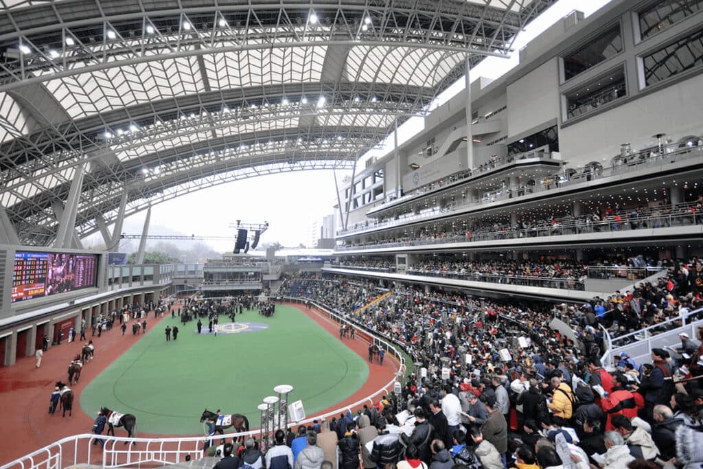 【香港ヴァーズ2022予想】香港の中長距離路線の最高峰!ウインマリリンやグローリーヴェイズなど出走予定馬を考察