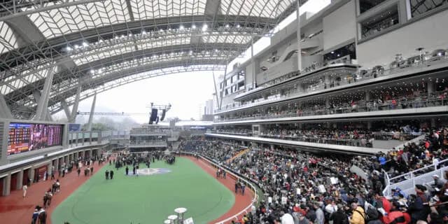 【香港ヴァーズ2024予想】香港の中長距離路線の最高峰!プラダリアやステレンボッシュなど出走予定馬を考察