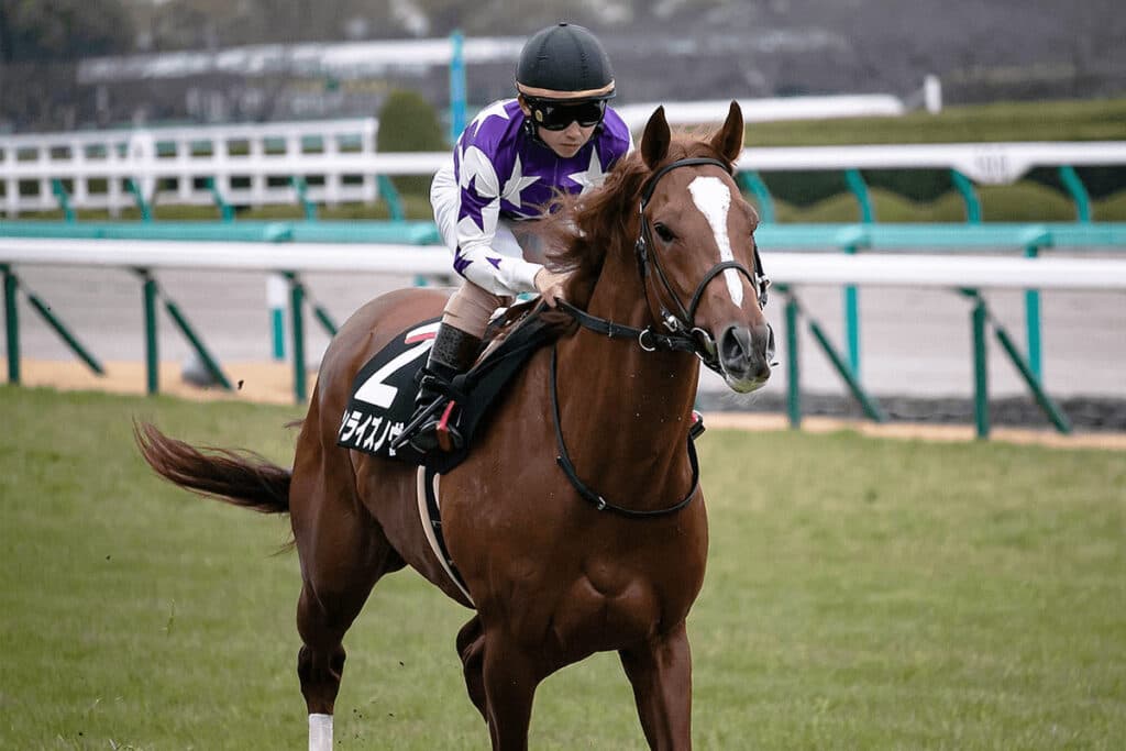 【東京大賞典2021予想】サンライズノヴァ、無欲の追い込みで波乱を呼べるか?