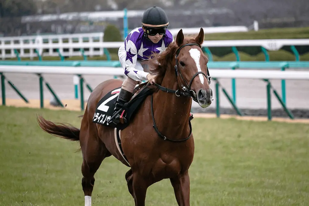 【東京大賞典2021予想】サンライズノヴァ、無欲の追い込みで波乱を呼べるか?