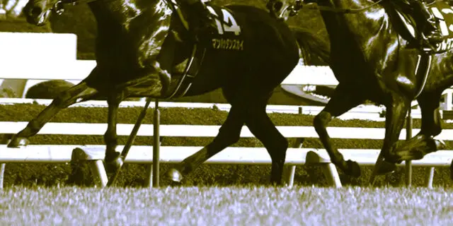 【菊花賞2025予想】主役不在のラスト一冠、混戦の菊花賞を制するのは誰だ?