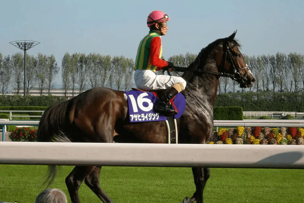 アサヒライジングが死亡、日米G1・2着3回など国内外の牝馬G1戦線で活躍