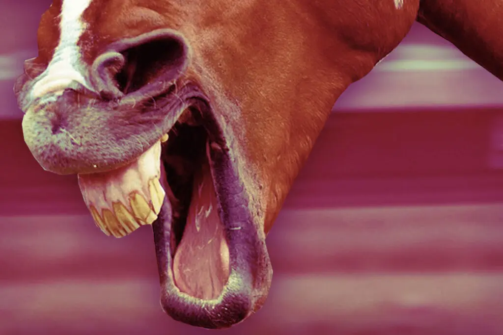 【京王杯スプリングC予想2022】世代きっての“フリーダム娘”リフレイムの激走に期待