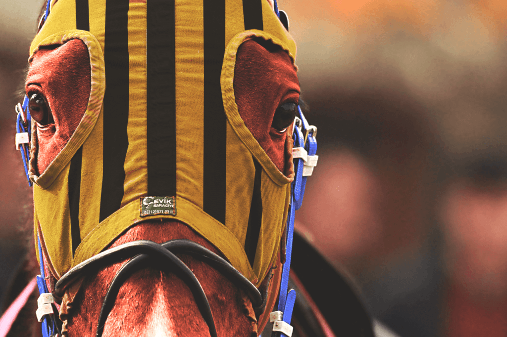 【フェブラリーS予想2022】地方代表馬のミューチャリー、三度目の正直なるか?