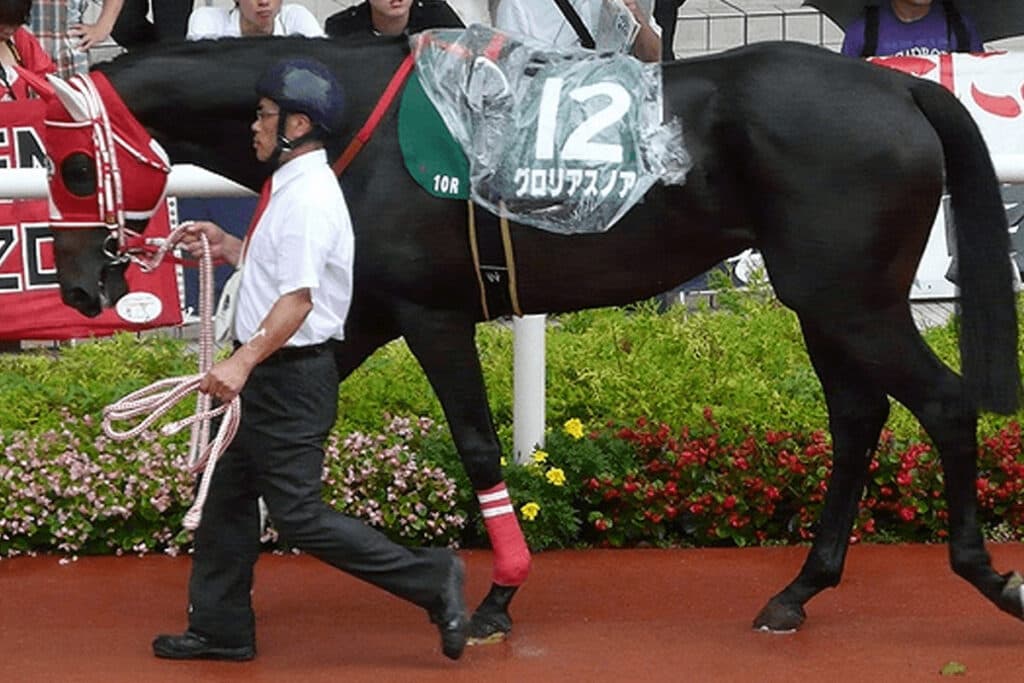 産駒勝ち上がり率100%!驚異の成績を刻む種牡馬とは?
