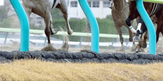 【デイリー杯2歳ステークス2025予想】最終追い切り・調教内容が高評価の馬3頭をピックアップ