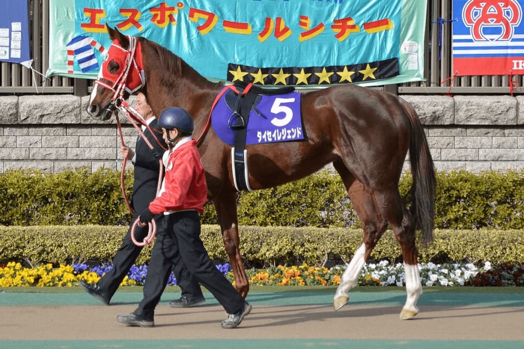 浦和・桜花賞で産駒がワンツーのタイセイレジェンド、今年の種付けに好影響期待