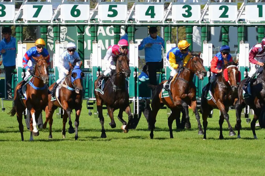 【海外競馬】アイリッシュチャンピオンSに4頭の日本馬が予備登録