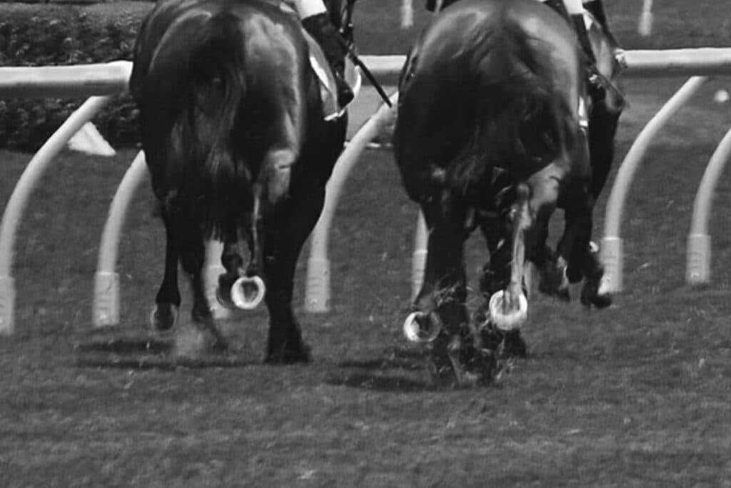 【六社ステークス2023予想】注目データは前走脚質とローテーション