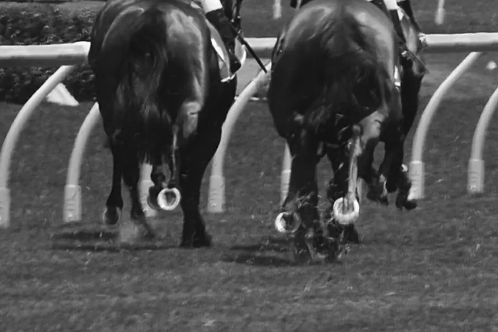 【六社ステークス2023予想】注目データは前走脚質とローテーション