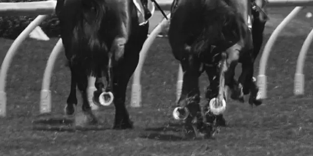 【アルゼンチン共和国杯2025予想】4歳勢中心に波乱も潜む構図、伏兵は関東勢から