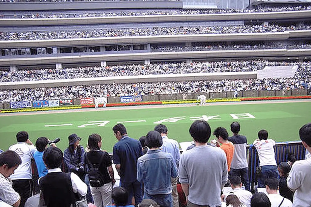 【アルゼンチン共和国杯2022予想】G1ホースへの登竜門!テーオーロイヤルやキラーアビリティなど出走予定馬を考察