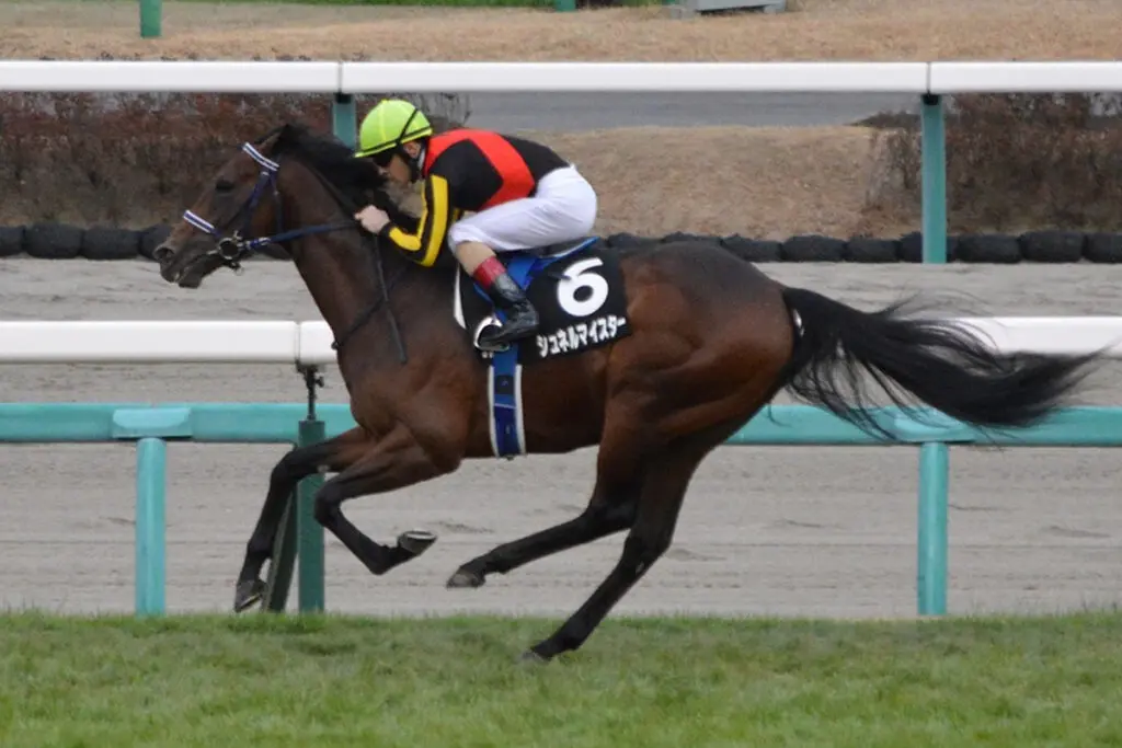【JRAマイラーズC予想】実績上位のシュネルマイスターに〝危険サイン〟あり?