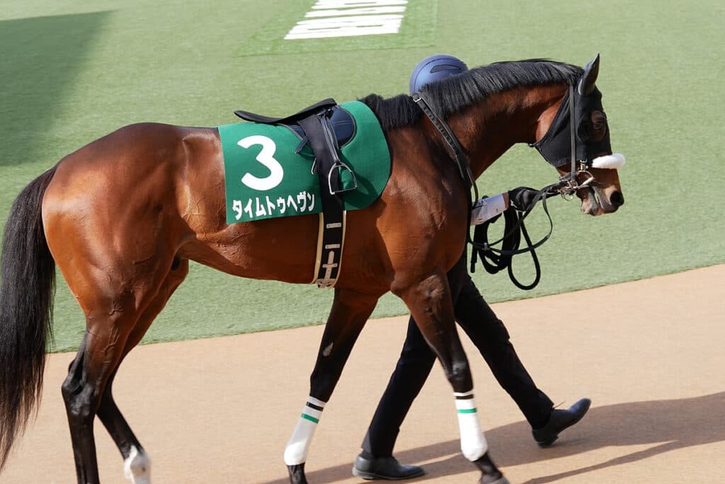 【ダービー卿チャレンジ2024予想】狙い目は復調気配を見せている伏兵タイムトゥヘヴン