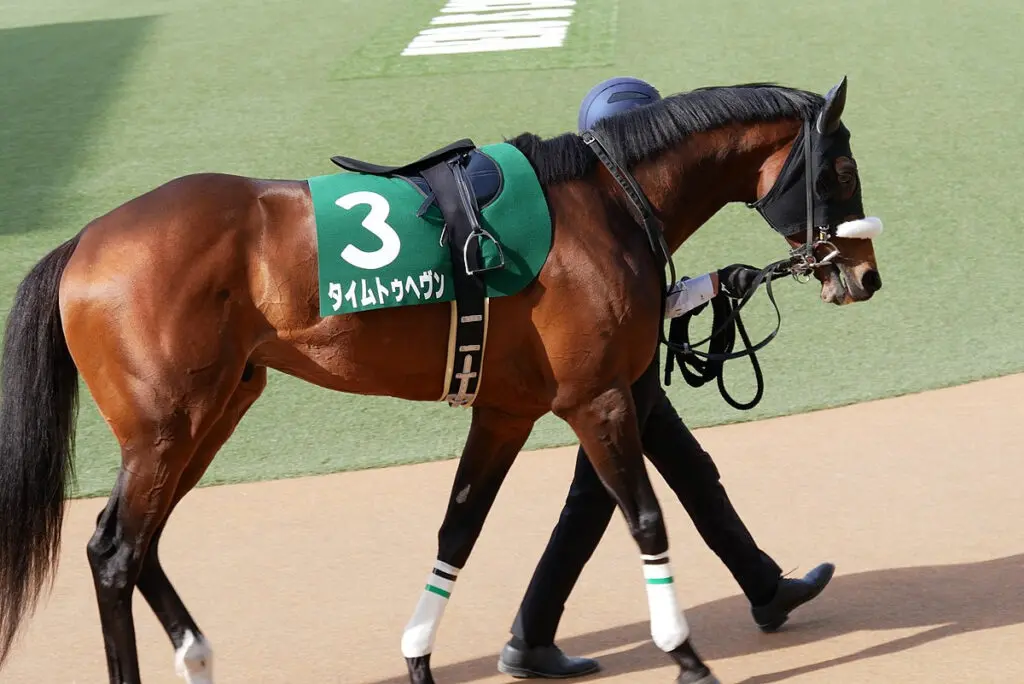 【京王杯スプリングC予想】タイムトゥヘヴン、前走の勢いそのままに連勝なるか?