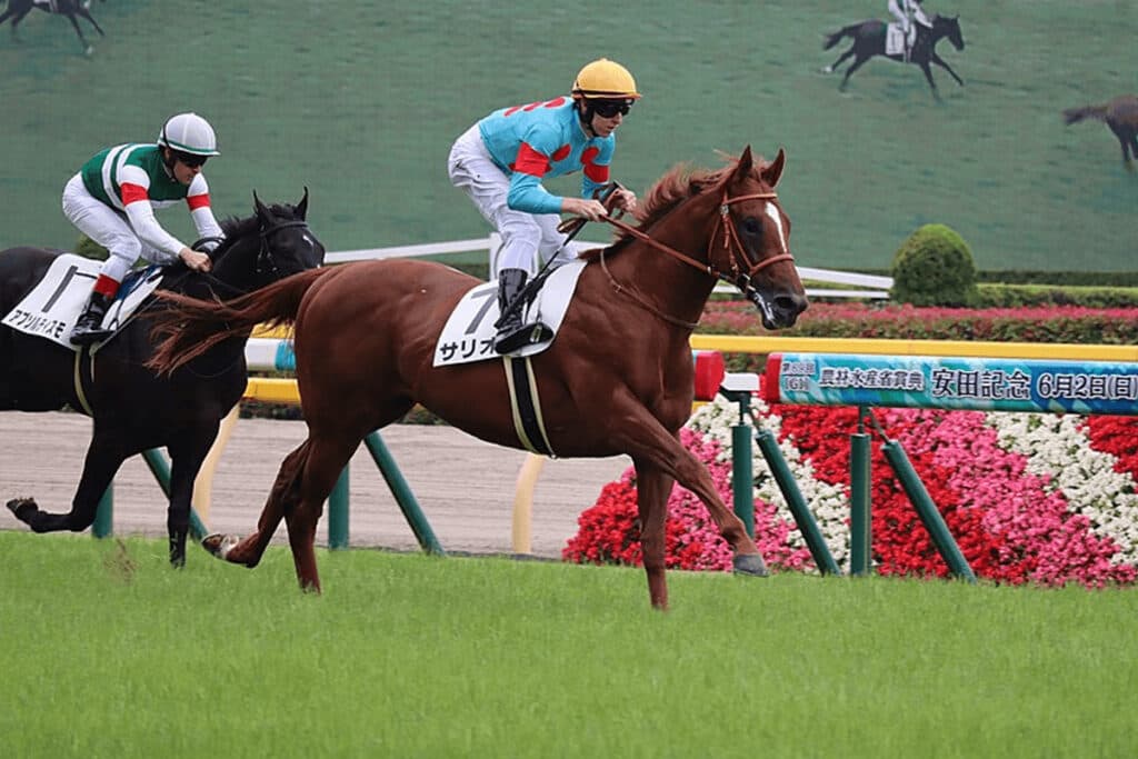 【毎日王冠2022】サリオス復活へ、1800mは適距離