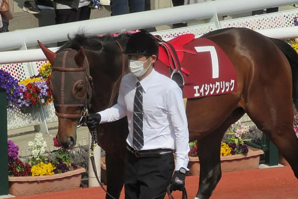 【東京ジャンプS予想2022】エイシンクリック、順当に良化なら確勝級?