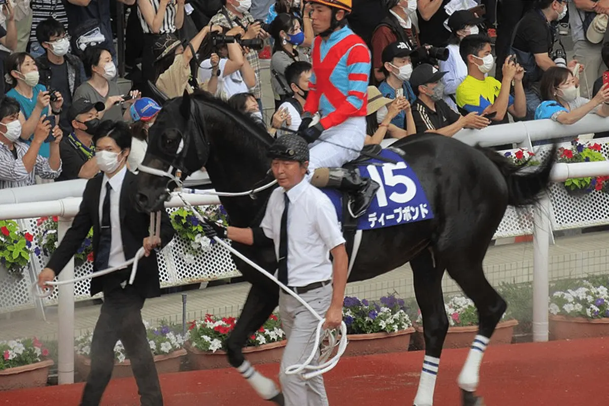 凱旋門賞18着のディープボンドは有馬記念へ