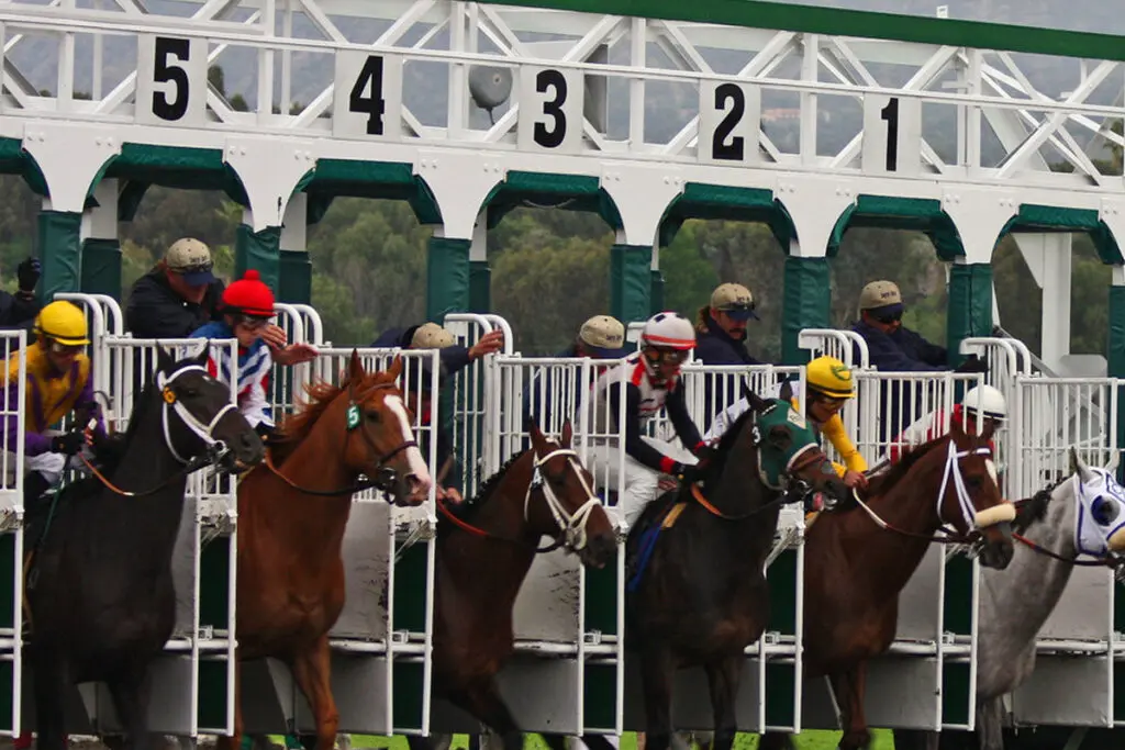 【ケンタッキーダービー2023】20頭の枠順が決定!デルマソトガケは17番、コンティノアールは20番