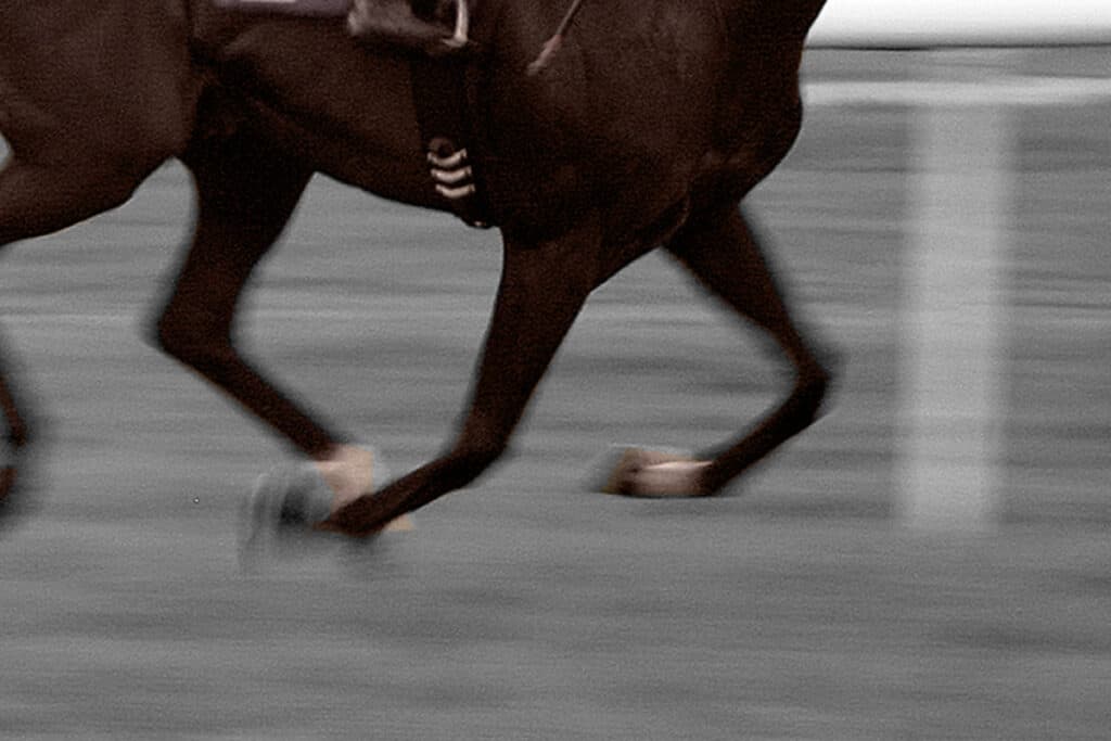 【天皇賞秋2023】昨年3着のダノンベルーガ、得意コースで今年もイクイノックスに迫る