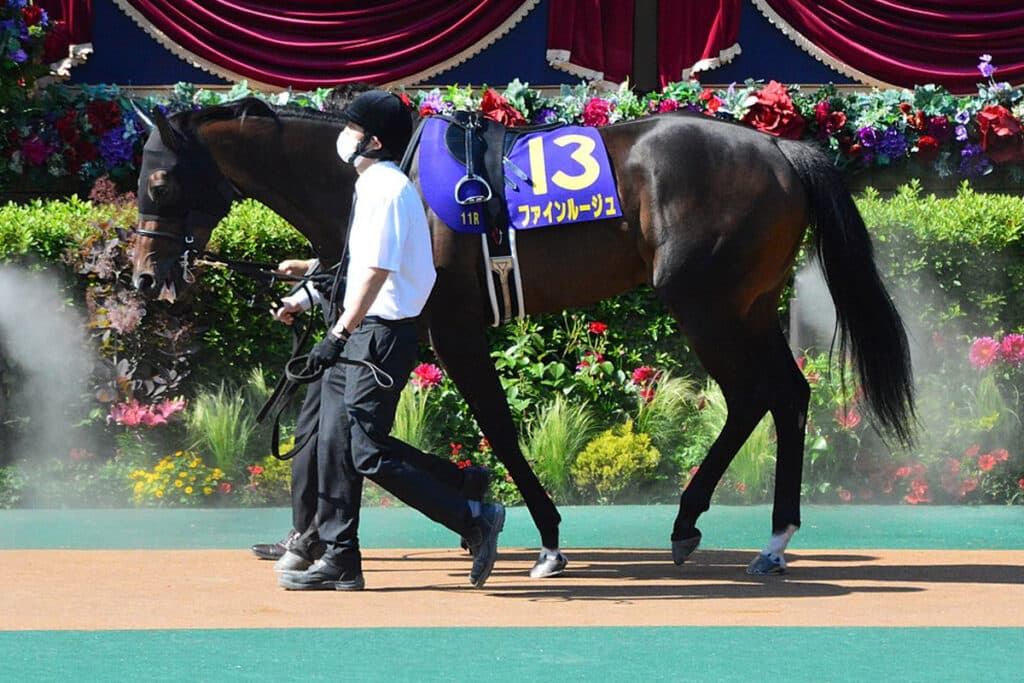 重賞2勝馬ファインルージュが引退、繁殖入り