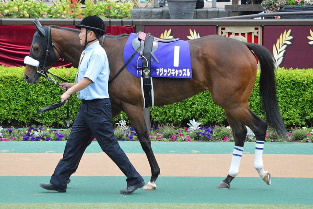 牝馬重賞戦線を賑わせたマジックキャッスルが引退、繁殖牝馬へ