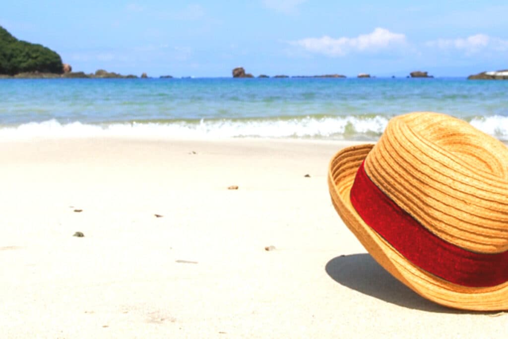 JRA新潟記念(2022)のサインは“映画ワンピース”!推奨穴馬2頭とは?