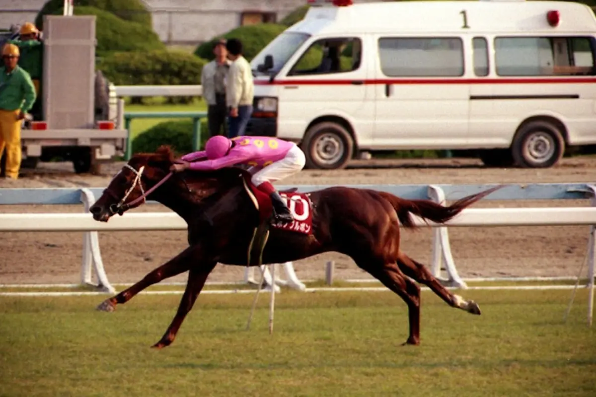 日高町の「赤い羽根共同募金」企画、今年はミホノブルボン!