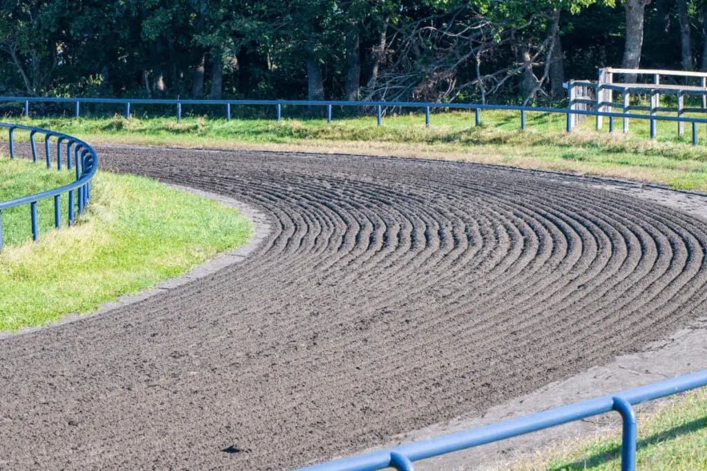 【シリウスステークス予想2022】最終追い切り・調教内容が高評価の馬トップ3は?