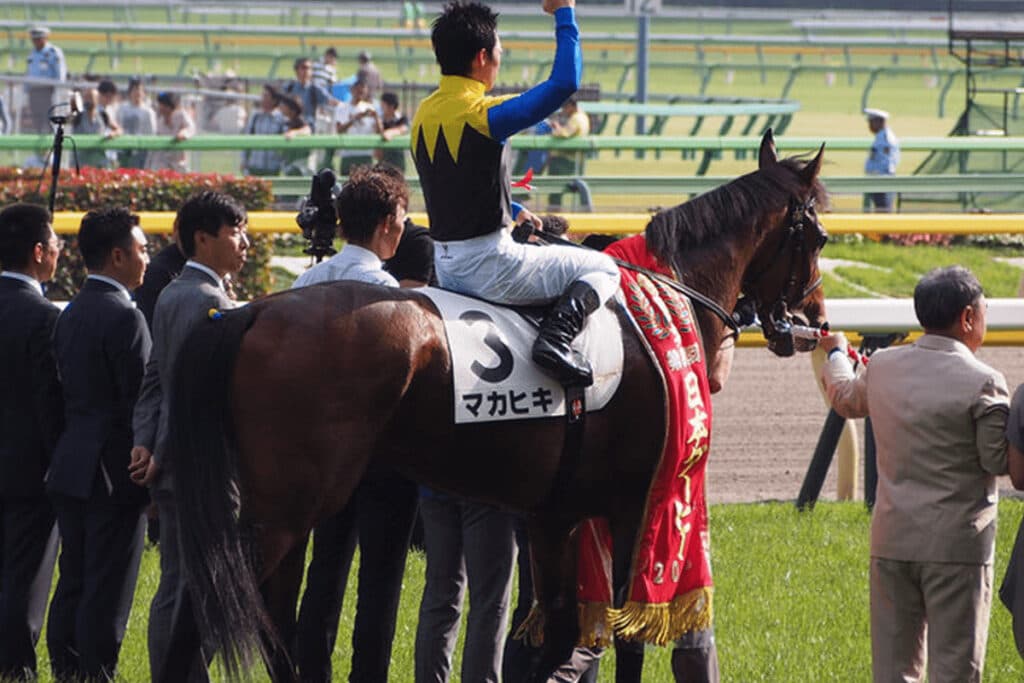 【JRA】マカヒキ引退・種牡馬へ、9歳まで走り続けた“タフ”なダービー馬