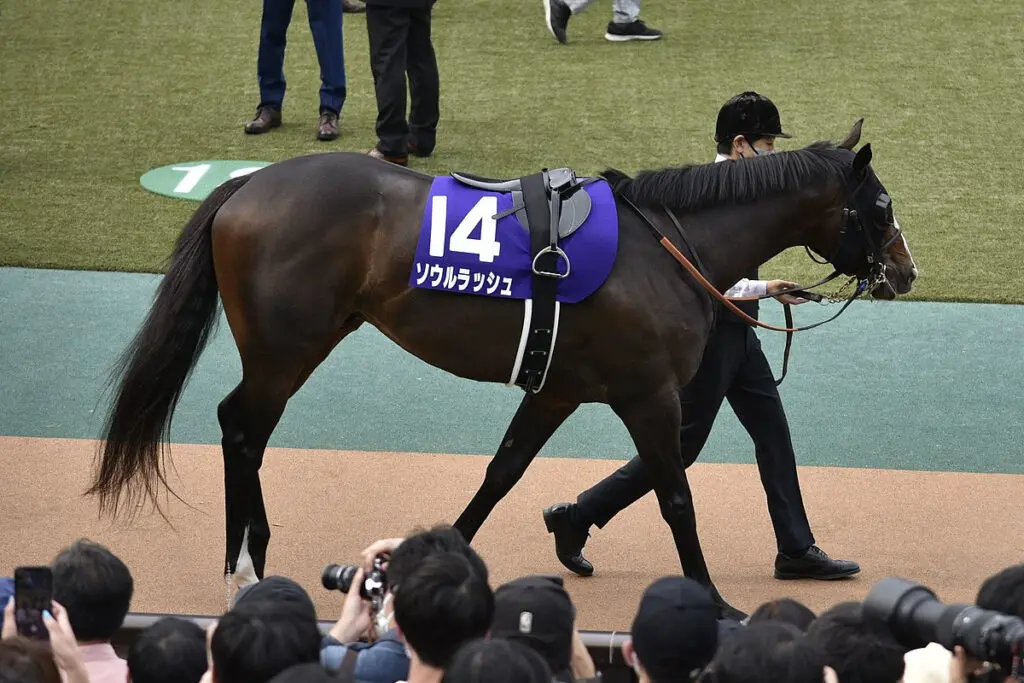 【JRA】安田記念・3着のソウルラッシュが骨折、秋には影響なし