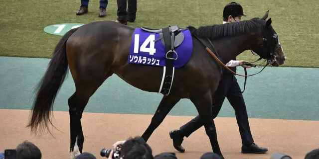 【富士ステークス2025】ソウルラッシュは団野大成騎手とコンビ再結成、秋は国内外のマイルG1獲りへ