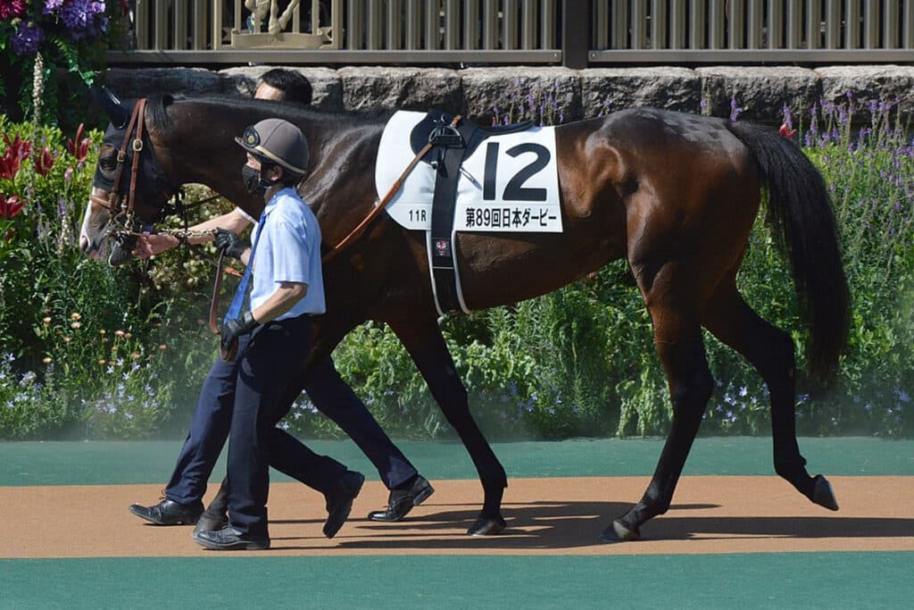 【宝塚記念2025】ダノンベルーガが直前で出走回避、追い切り後にトラブルか?