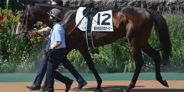 【宝塚記念2025】ダノンベルーガが直前で出走回避、追い切り後にトラブルか?