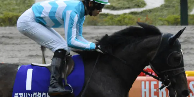 【ジャパンC2022】デアリングタクト、中1週で参戦の可能性高まる!怪我を乗り越え歓喜の復活劇となるか?