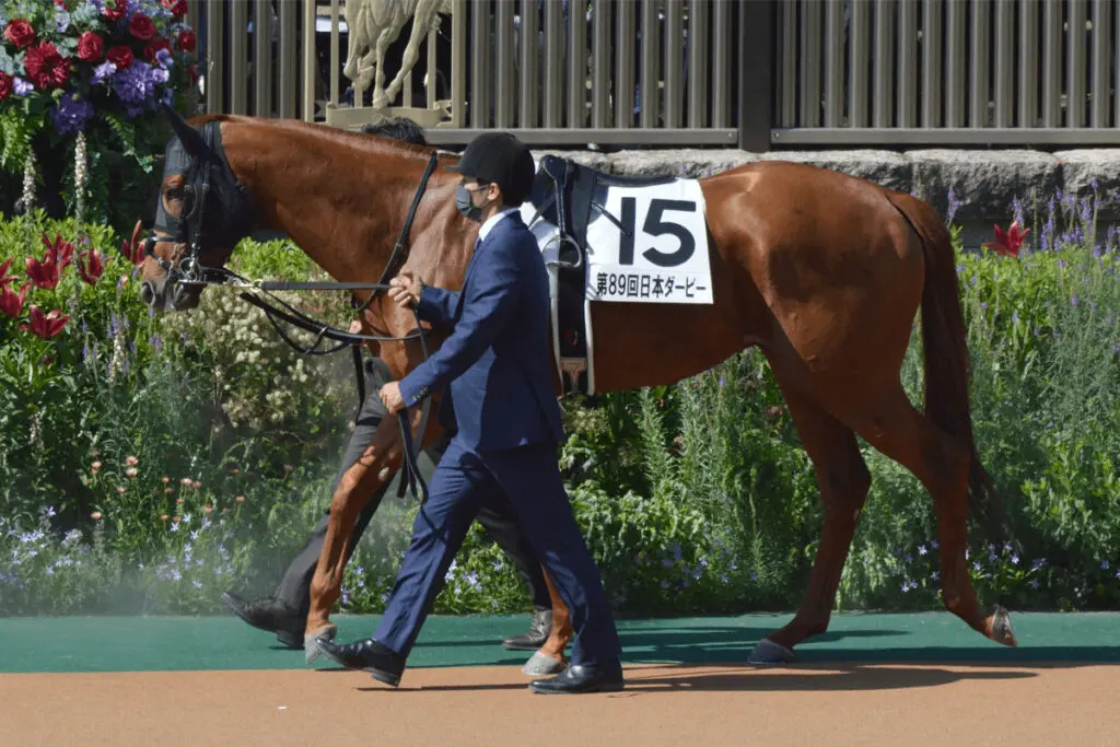 クイーンエリザベスS・13着のジオグリフが骨折、症状としては軽度