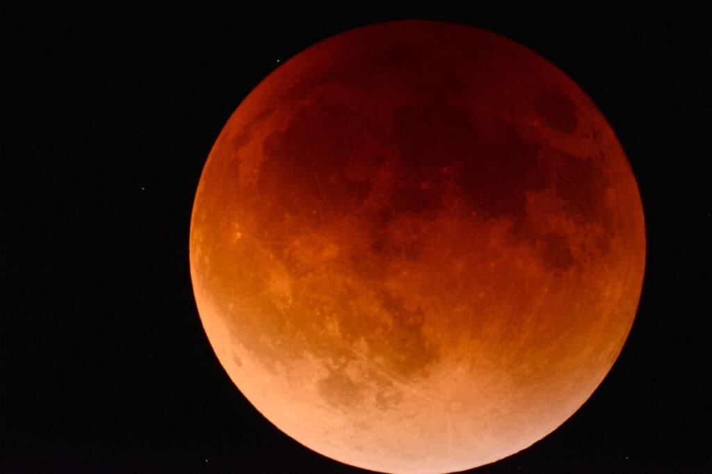 JRAエリザベス女王杯(2022)のサインは“皆既月食”!推奨穴馬1頭とは?