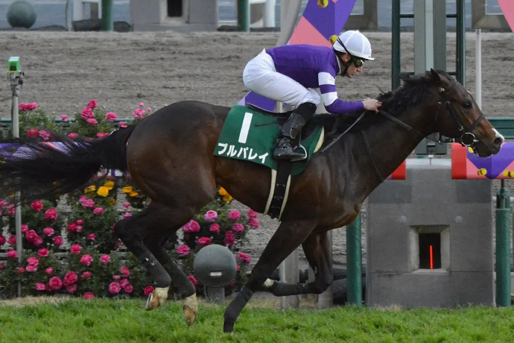 【オーロC予想2022】芝1400mに強い適性の3歳馬プルパレイ、古馬撃破なるか?