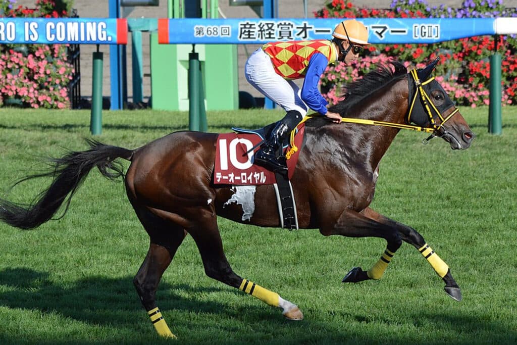 【JRA】テーオーロイヤルは京都大賞典を回避、ジャパンCへ直行