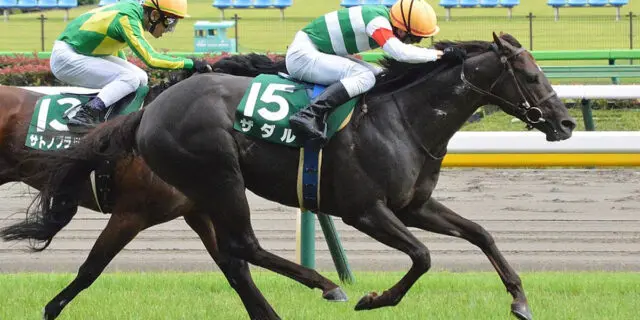 ザダルが引退、右前種子骨靭帯炎が判明