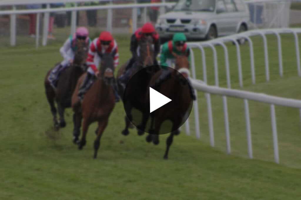 【JRA】2023年3月から〝無料〟で全レース動画配信がスタート!